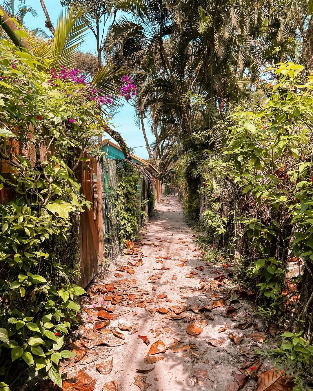 Trilha do Farol! 🦶💚O charme da Ilha do Mel! 💌A Pousada e Café das Meninas fica localizada nes